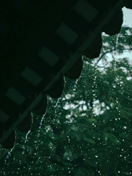 Rainy day 